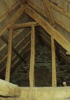 Formation : Pathologies du bois d'oeuvre dans le bâti ancien